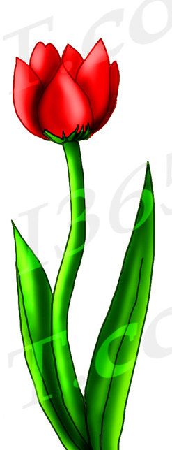 247x644 The Best Tulip Clipart Ideas Tulip Tattoo, Bird