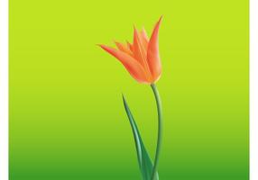 286x200 Tulip Free Vector Art