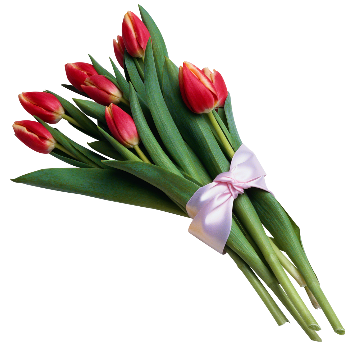 1320x1304 Bouquet Clipart Tulip Bouquet