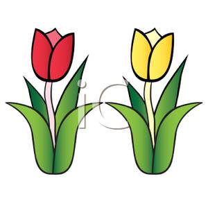 300x300 Red And Yellow Tulips Clip Art Cliparts