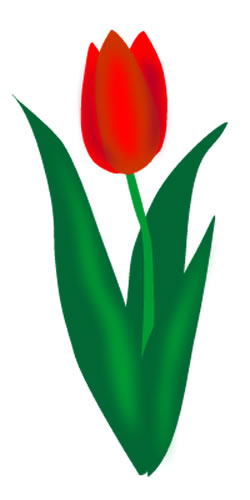 250x500 Top 57 Tulip Clip Art