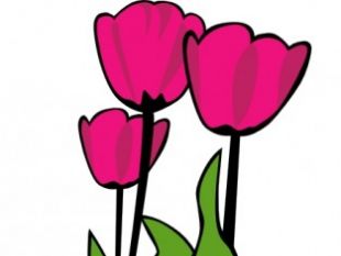 310x233 Tulip Flower Clip Art Free Vectors Ui Download