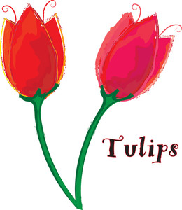 260x300 Tulips Clipart Image