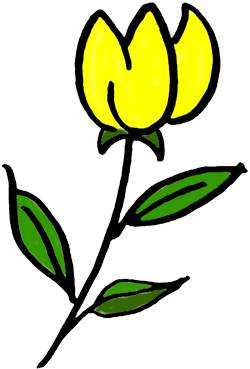 250x369 Yellow Tulips Clipart