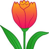 200x200 Clipart Tulips