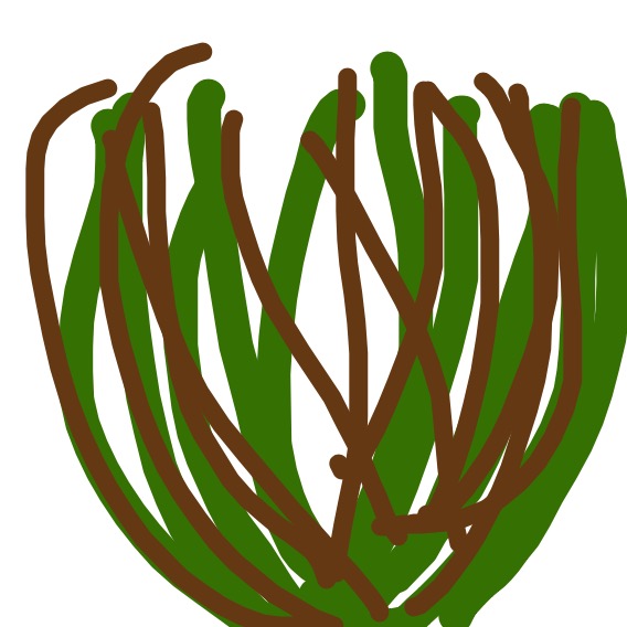 568x568 Show Pictures Plum Landing Pbs Kids