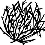 150x150 Tumbleweed Clipart Tumbleweed Clipart Free Download Clip Art Free