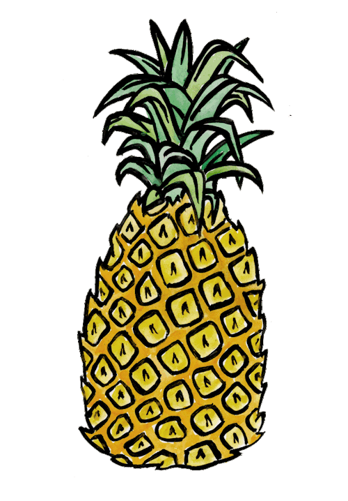 500x718 Pineapple Clipart Tumblr
