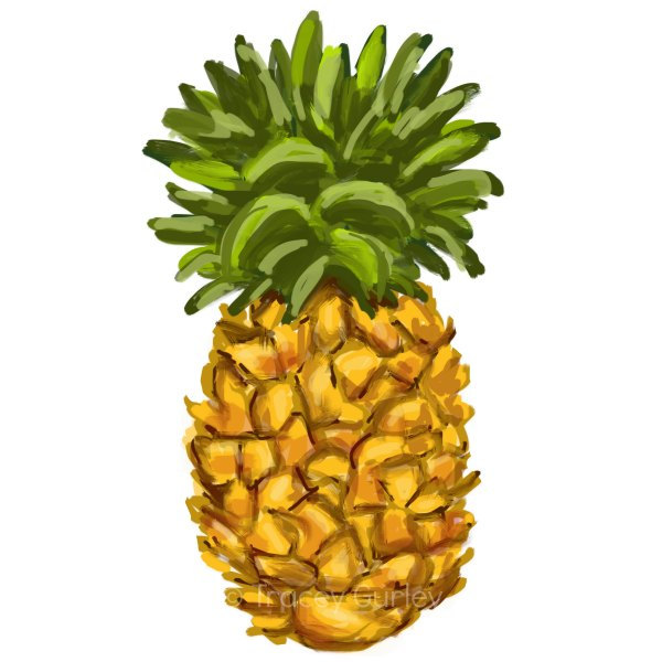 600x600 Pineapple Black And White Ideas About Pineapple Drawing On Step By