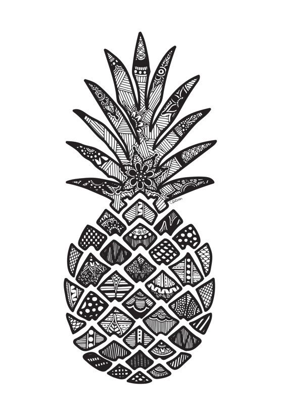 570x806 The Best Pineapple Drawing Ideas Pineapple
