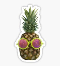 210x230 Tumblr Pineapple Photography Stickers Redbubble