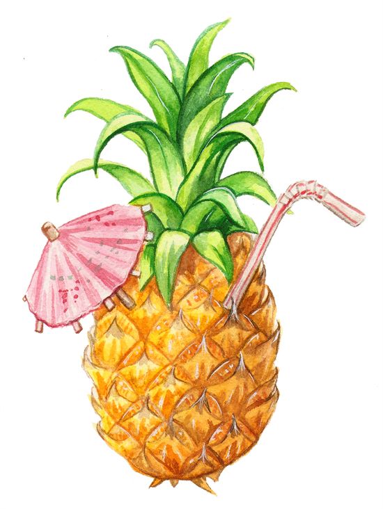 550x732 Best Pineapple Illustration Ideas Pineapple