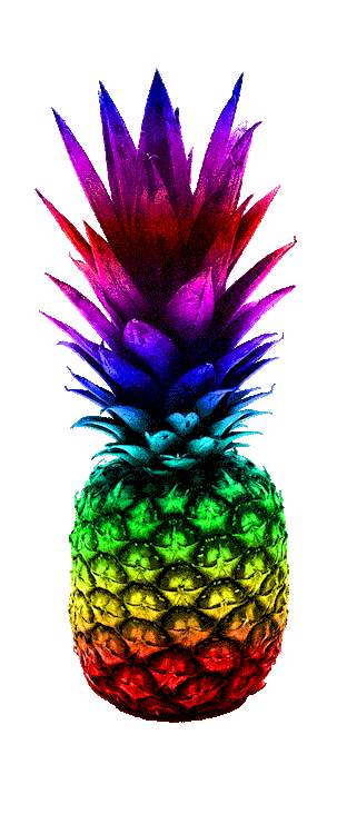 303x750 Pineapple Bookends Tumblr