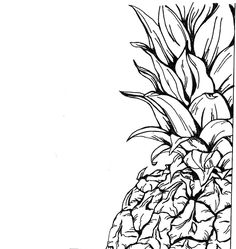 236x249 Pineapple Tumblr