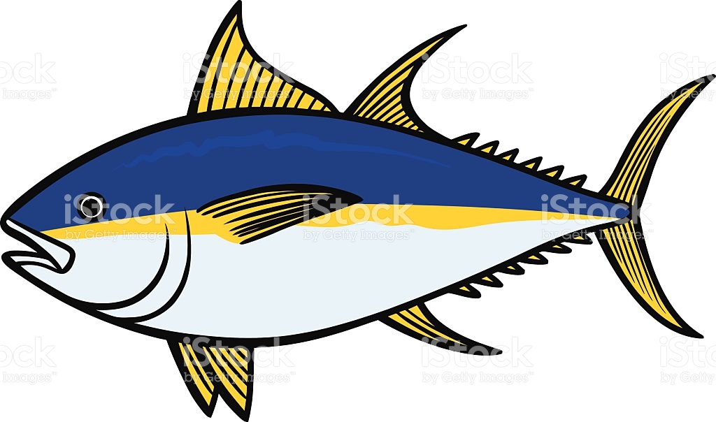 1024x604 Fins Clipart Yellowfin Tuna
