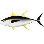170x170 Tuna Clip Art