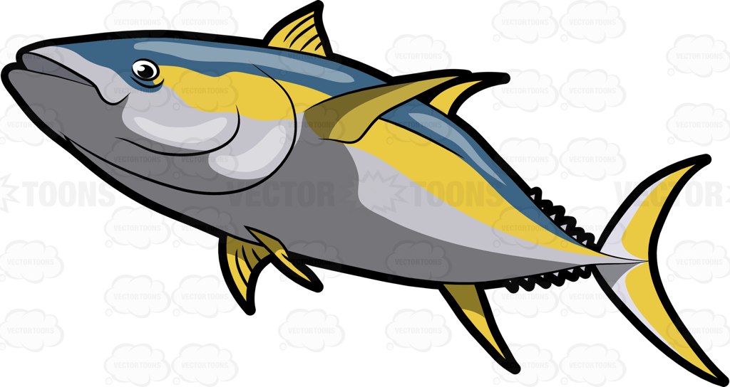 1024x544 Tuna Clipart Yellowfin Tuna