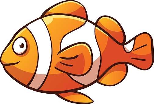505x341 Fish Clip Art