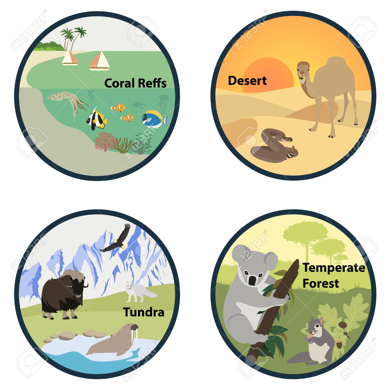 1300x1300 Tundra Clipart Desert Habitat