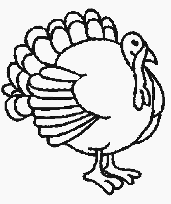 600x718 Turkey Line Art