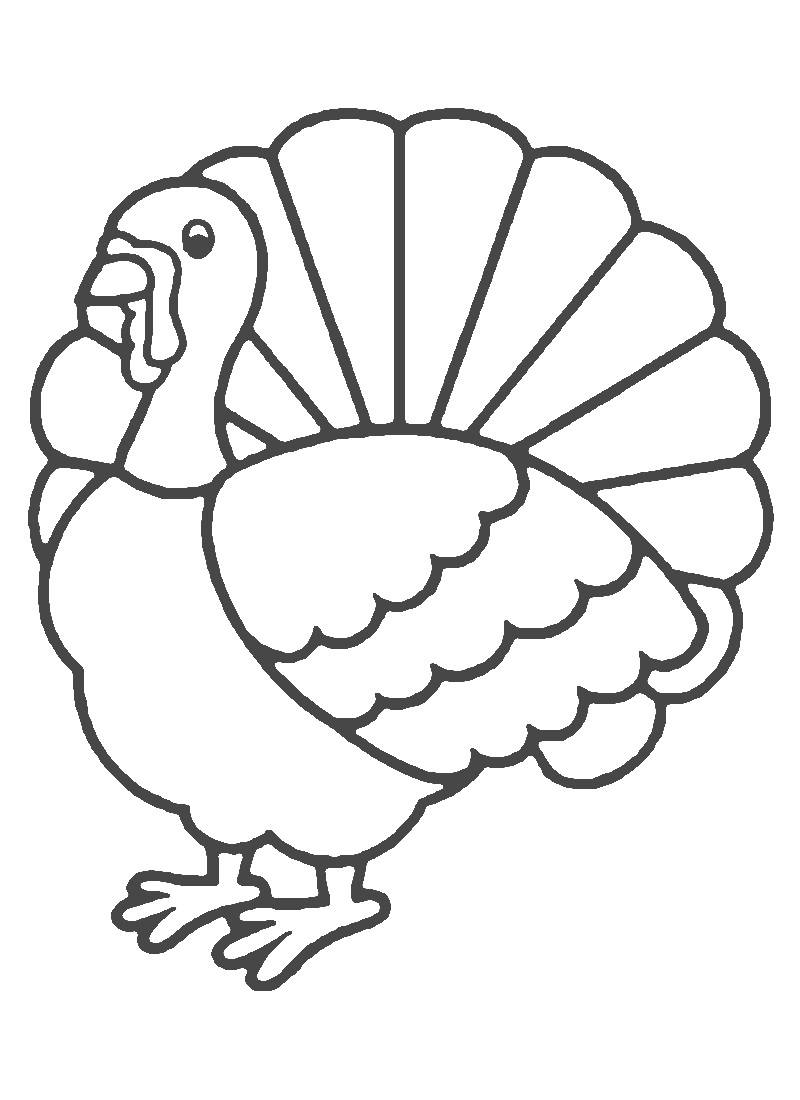 800x1100 Turkey Printable Clipart