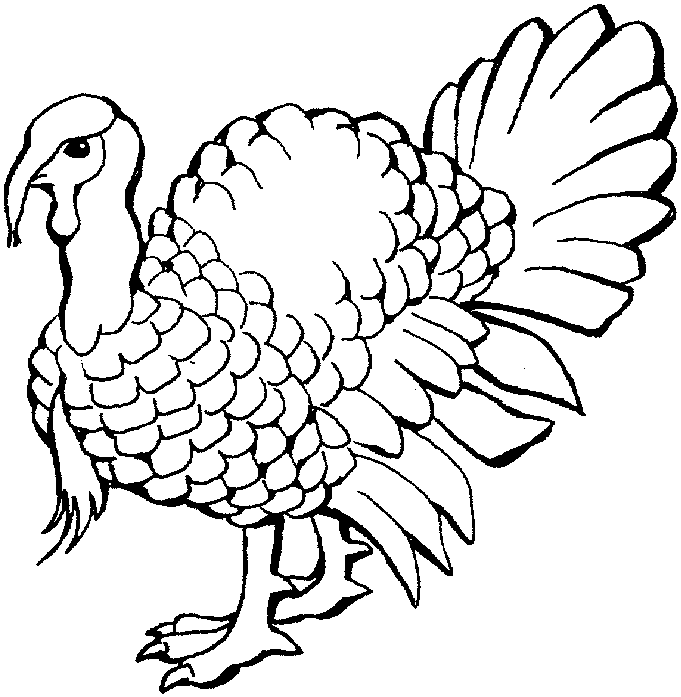 1385x1417 Turkey Clipart Line Drawing