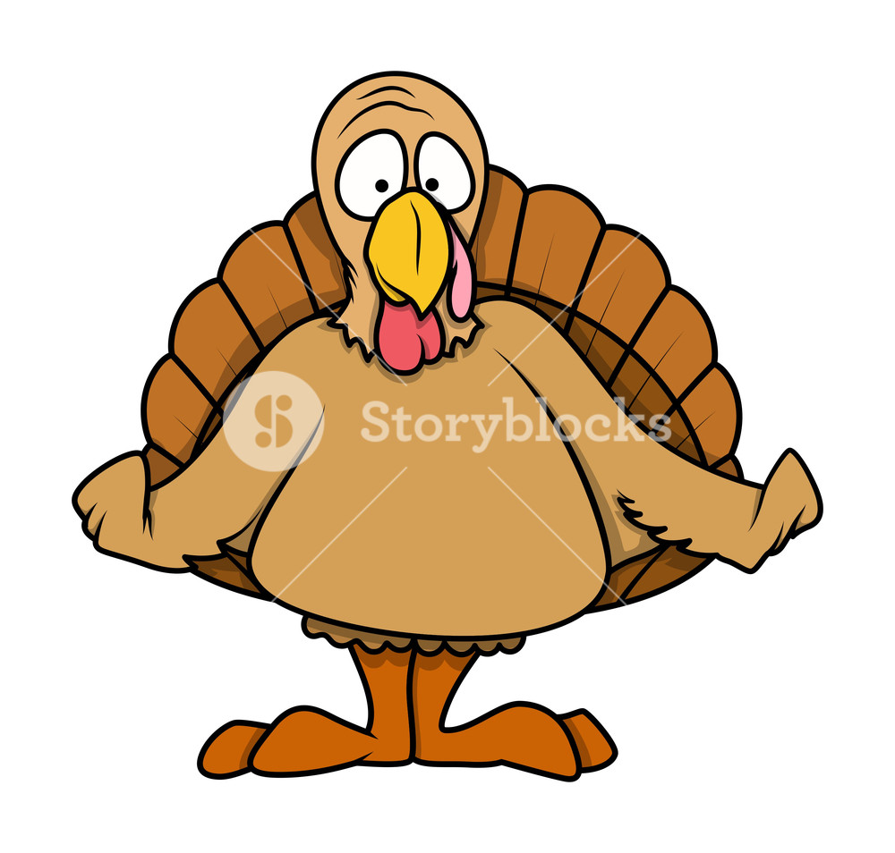 1000x954 Shocked Cartoon Turkey Bird Royalty Free Stock Image