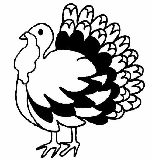 500x525 Free Thanksgiving Clip Art Turkey Clipart Panda