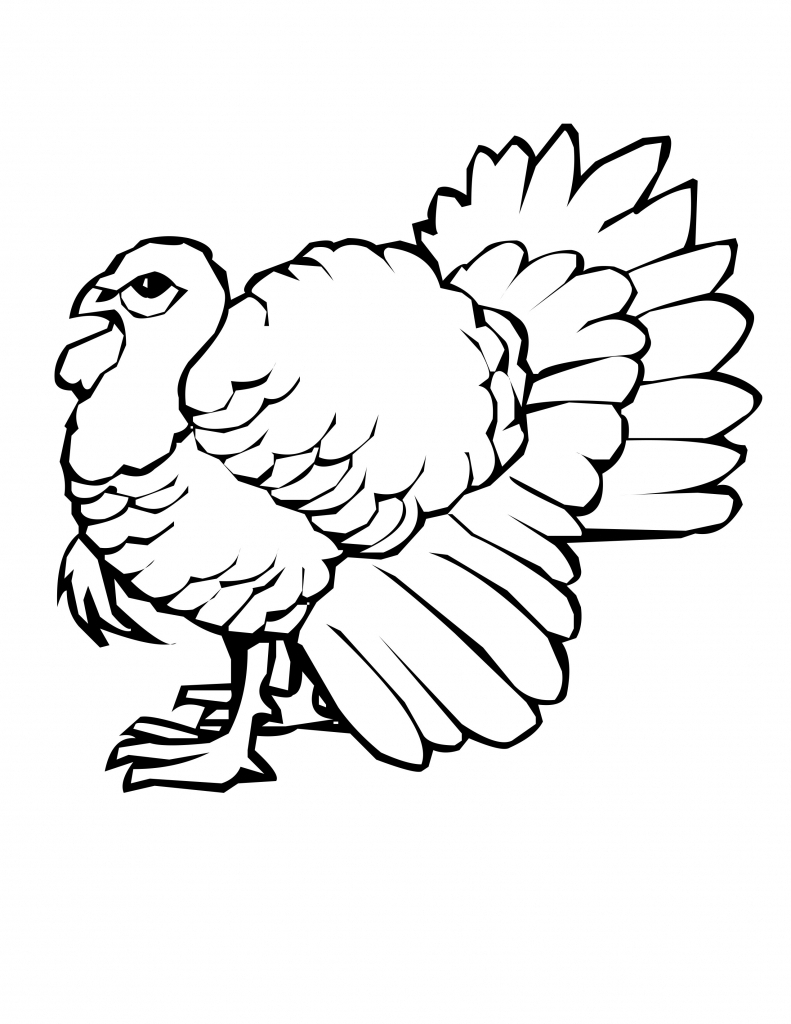 791x1024 A Drawing Of A Turkey Turkey Drawing Pictures Clipartsco