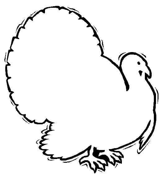 532x584 Turkey Feather Clip Art