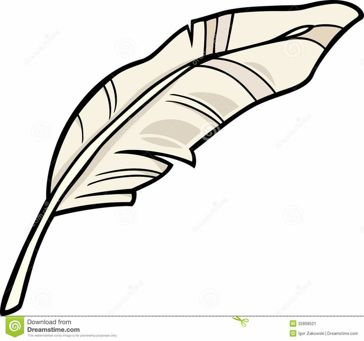 736x691 Turkey Feather Clipart 2172527