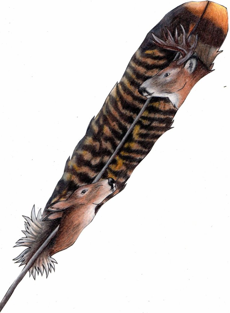 766x1043 Fc 3 Turkey Feather Doe.buck By Drawingmaster1