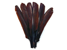 216x162 Turkey Feathers For Sale Moonlight Feather