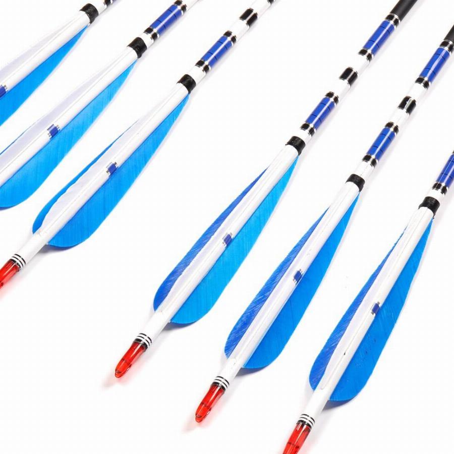 900x900 6pclot New 5' Blue Turkey Feather Carbon Arrow Hunting Archery