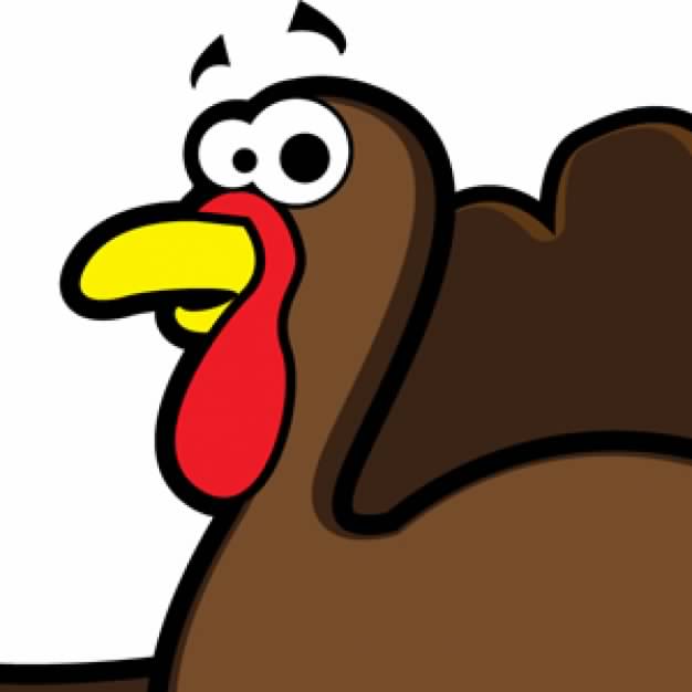626x626 Brown Turkey Head In Side View Download Free Animal Vectors