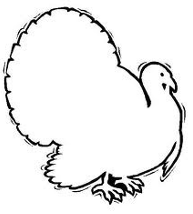 662x734 Turkey Outline Many Interesting Cliparts