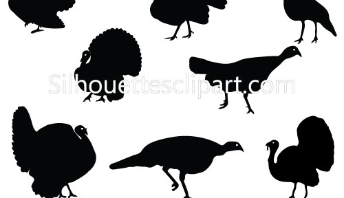 500x288 Wild Turkey Clipart