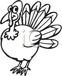 243x300 November Turkey Clipart Black And White