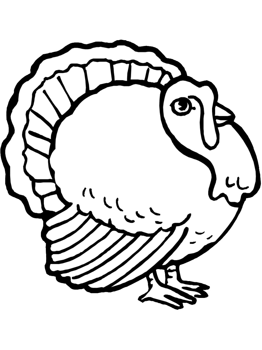 903x1203 Turkey Cliparts Games