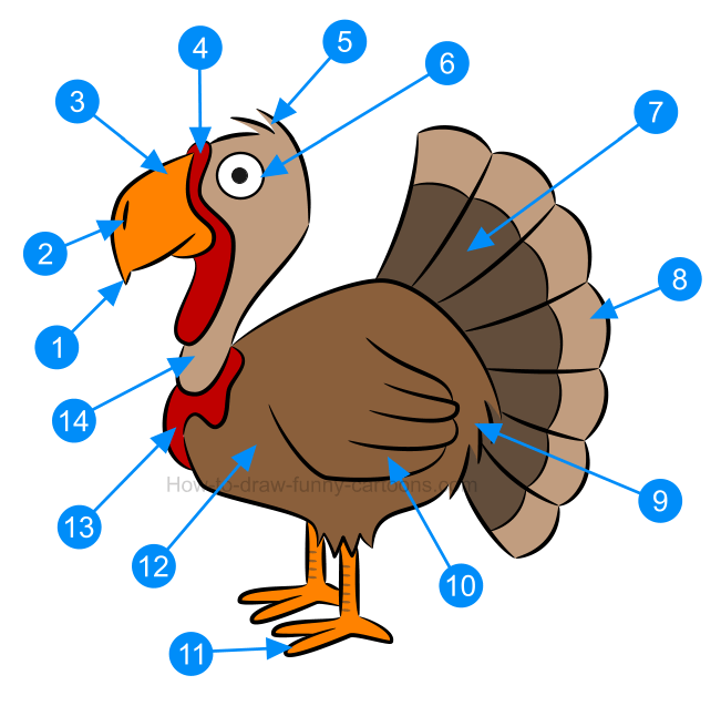 651x637 To Draw An Illustration Of A Turkey