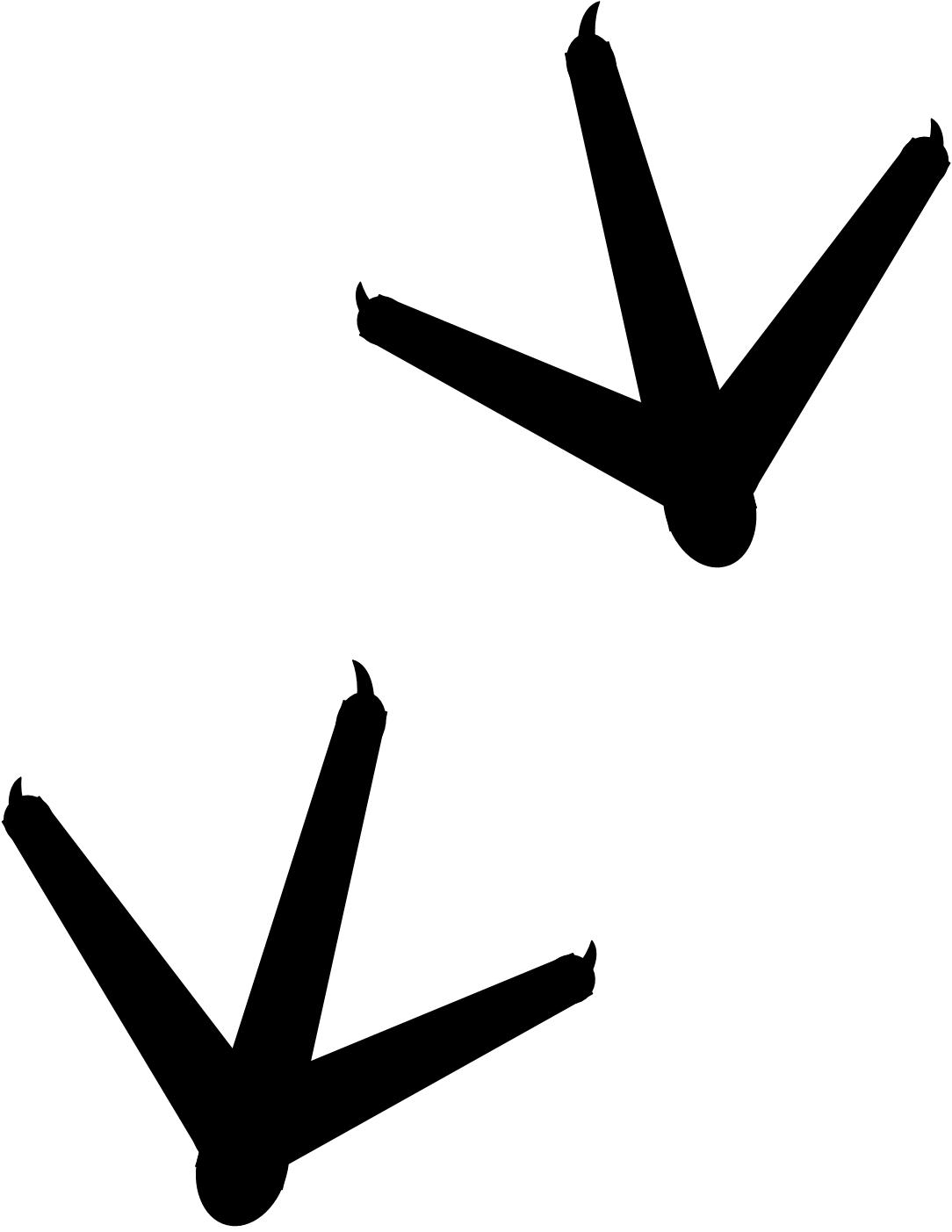 1084x1403 Turkey Clipart Turkey Feet