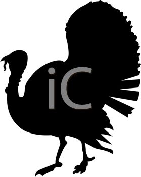 279x350 Live Turkey Silhouette