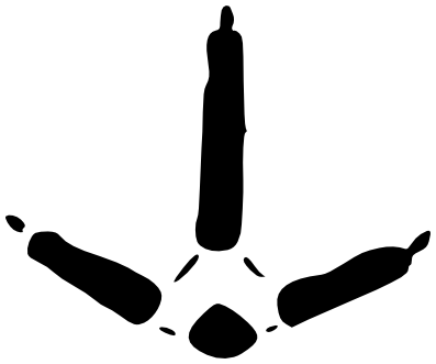 397x331 Turkey Track