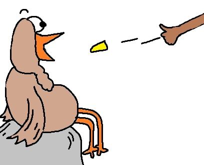 408x331 Best Turkey Games Ideas Thanksgiving Kid Games