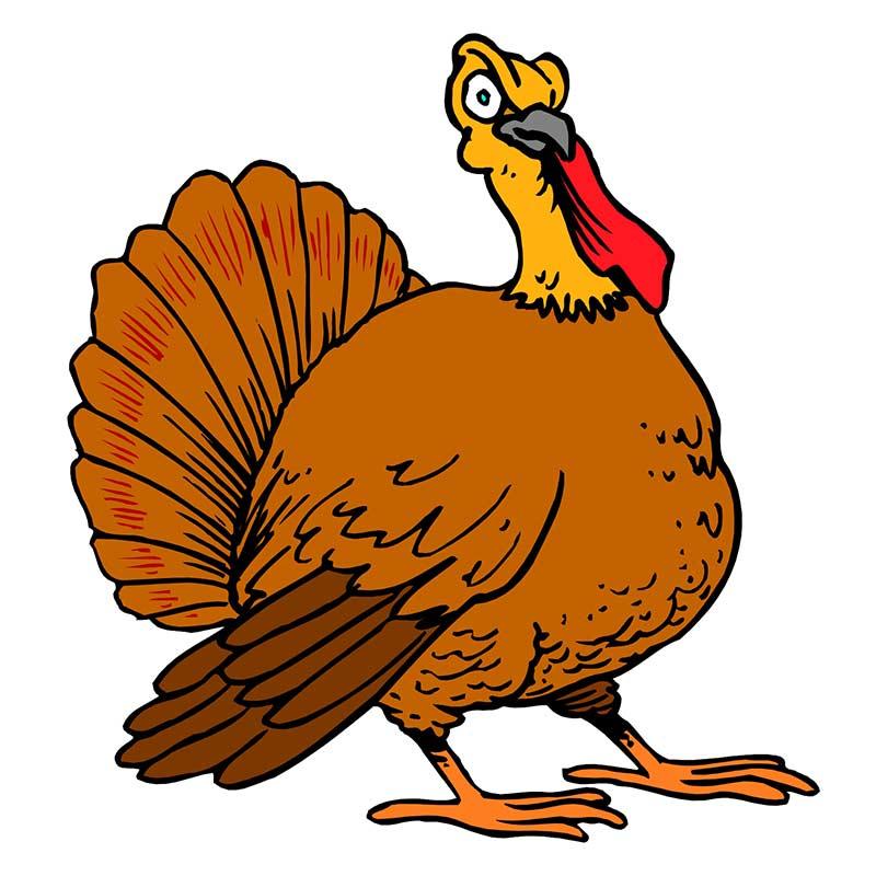 800x800 Turkey Body Clipart