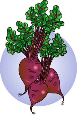 267x400 Image Beets Food Clip Art
