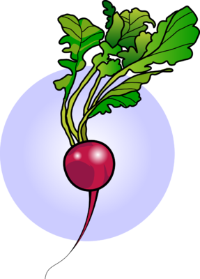 287x400 Image Radish Food Clip Art
