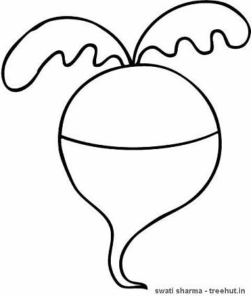 360x425 Turnip Clipart
