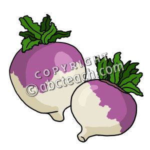 300x300 Turnip Clipart