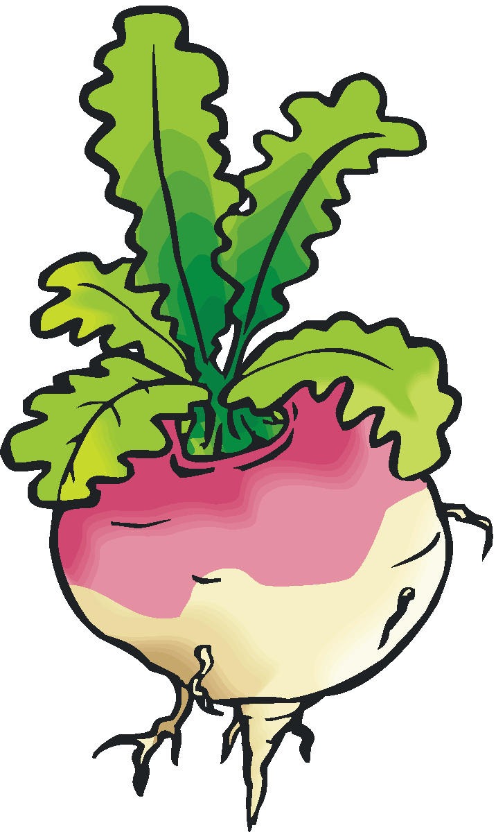 716x1200 Turnip Clipart Clipartfest
